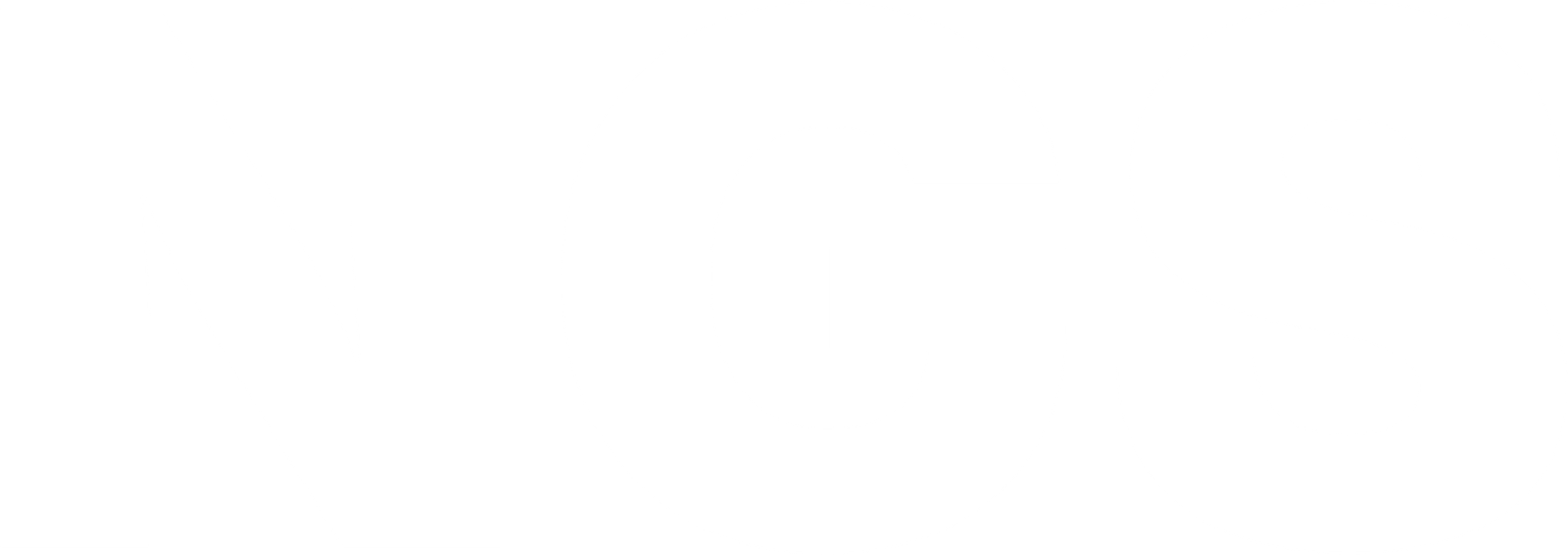 nicholas guard security ngs